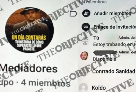 'Mediadores', así es el chat que comparten Aldama, Koldo y la trama de 'Tito Berni'