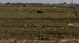 700 agricultores afectados por la dana pierden las ayudas previstas por el rechazo del 'ómnibus'