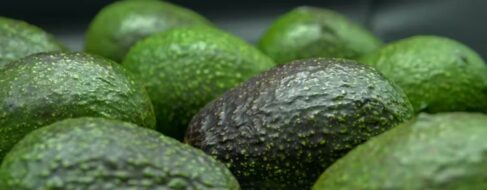 Las palabras amerindias que usamos todos los días