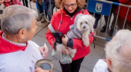 El Padre Ángel bendecirá este viernes a las mascotas en la madrileña iglesia de San Antón