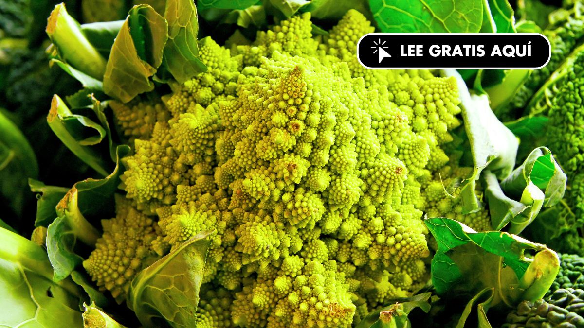 Descubre el Romanescu: Propiedades, Beneficios para la Salud y Recetas deliciosas