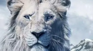 ¿Por qué nos empeñamos en asociar el color blanco con la maldad?