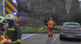 El 112 gestiona 58 incidencias en Cantabria provocadas por el viento en las últimas horas