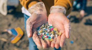 Los microplásticos pueden causar trombos en el cerebro