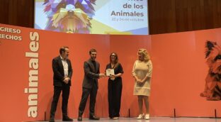 El Gobierno dedicará 200.000 euros a pagarle el veterinario a las personas vulnerables