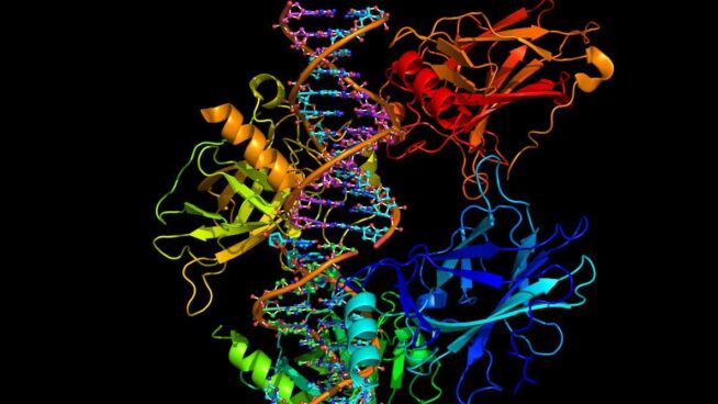 El estrés prolongado podría contribuir de manera directa a la aparición del cáncer