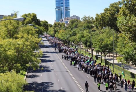 Mantienen la convocatoria para una nueva manifestación por la 'pasarela al RETA'