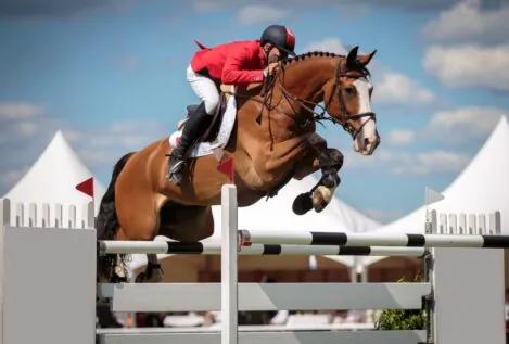 La hípica española decide sobre la continuidad del 'emperador de los caballos'