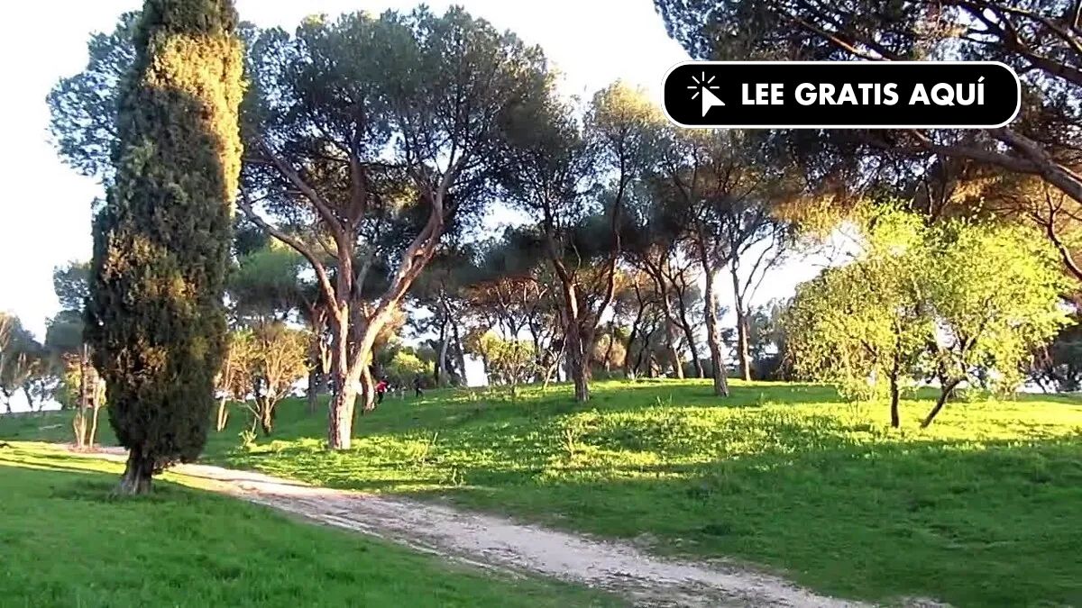Urban vegetation reduces abdominal obesity
