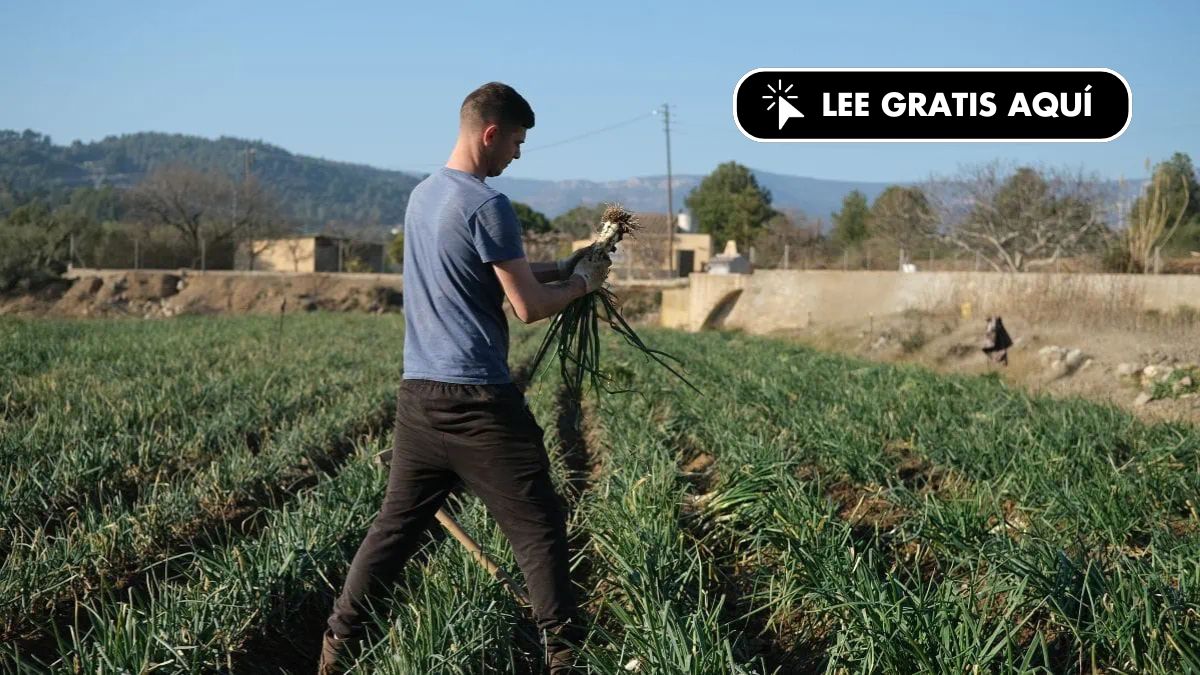 Armanext impulsa la revolución agrotech en España: inversión y liderazgo en Europa