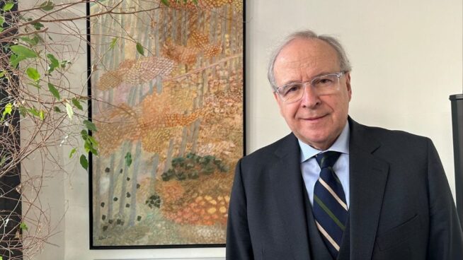 Jordi Domingo derrota a Toni Comín y será el nuevo presidente del Consell de la República