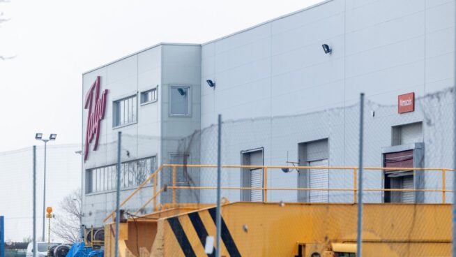 El Gobierno vasco ve compleja la operación en Talgo, pero «nadie duda» de que se cerrará