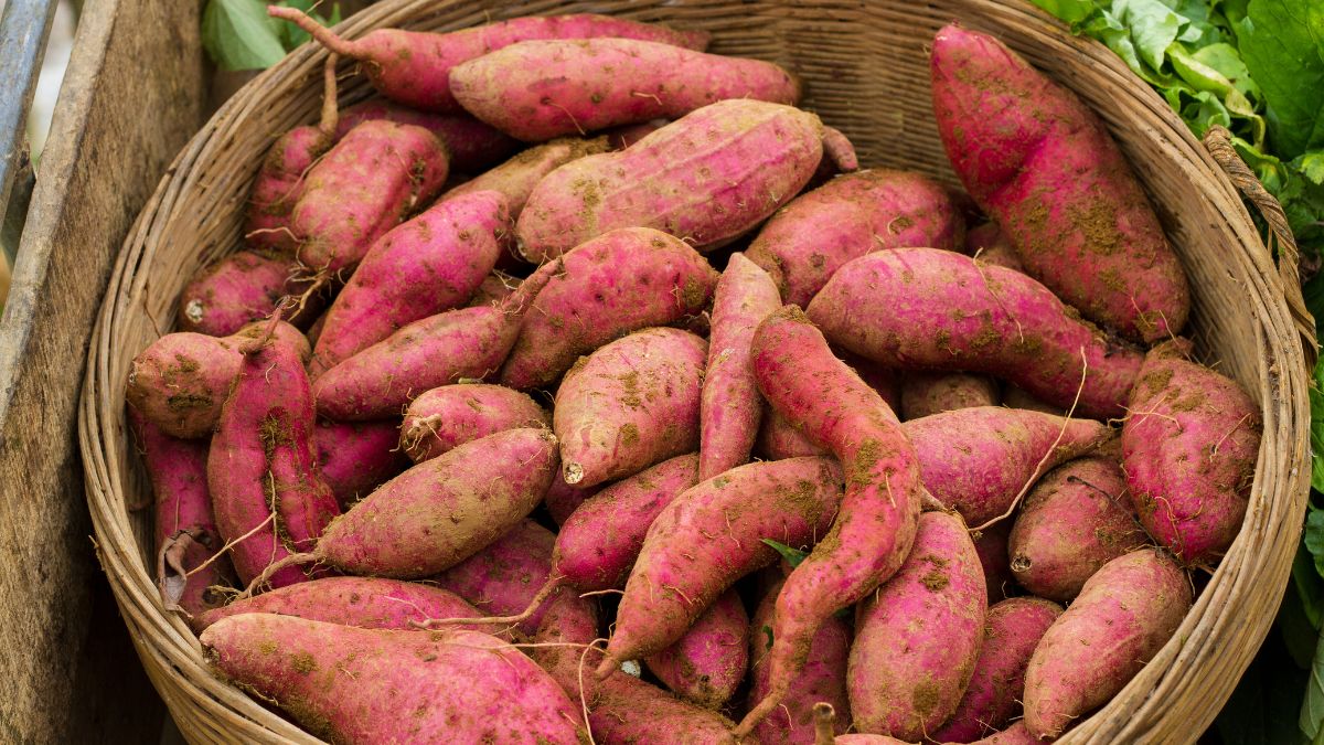 Los dos alimentos que te ayudan a perder peso y son hidratos de carbono
