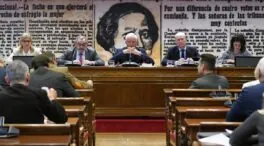 La expareja de Koldo no acude a la comisión de investigación del Senado