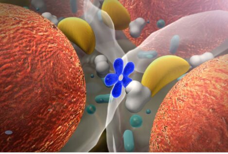 Un endocrino explica la clave del éxito para adelgazar y controlar las hormonas