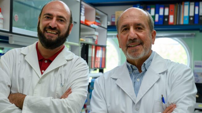 La vacuna contra la covid del CSIC que se cedió a la OMS aún no se ha probado en humanos