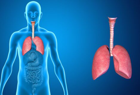 Cómo limpiar los pulmones de forma natural:  trucos fáciles para mejorar la respiración