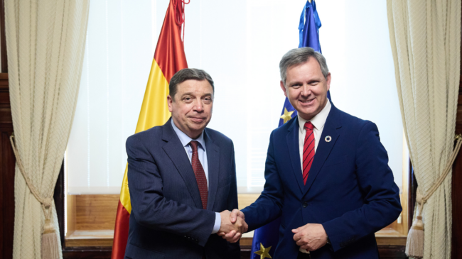 Mercasa se gasta 20.000 euros en un informe al que solo han accedido 167 personas