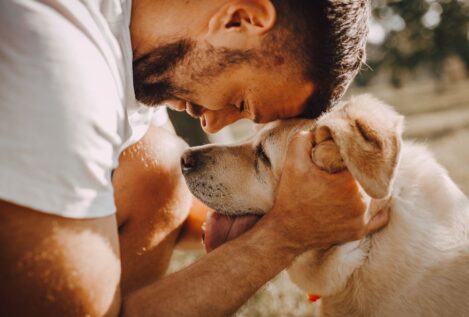 ¿Cómo puedo disculparme con mi perro si le piso una pata? Los científicos lo revelan