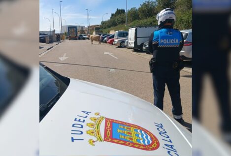 Detenido en Tudela por ir en un maletero y tener una orden de alejamiento sobre la conductora