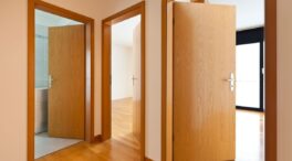 La hoja que debes poner detrás de la puerta de tu casa para ahuyentar los insectos