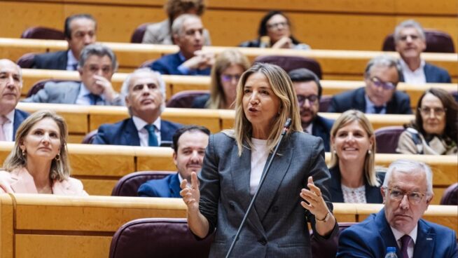 El Senado inicia un conflicto contra el Congreso y el Gobierno por modificar una ley en el BOE