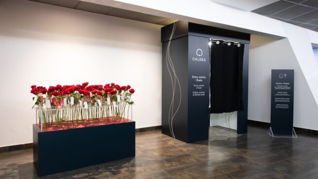 Caldea instala un ‘jardín de rosas’ para San Valentín