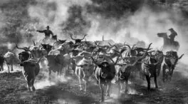 Lo que Estados Unidos le debe a España (2): la creación de Tejas