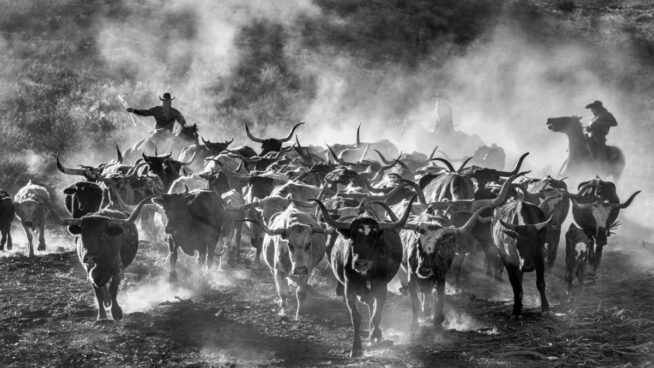 Lo que Estados Unidos le debe a España (2): la creación de Tejas