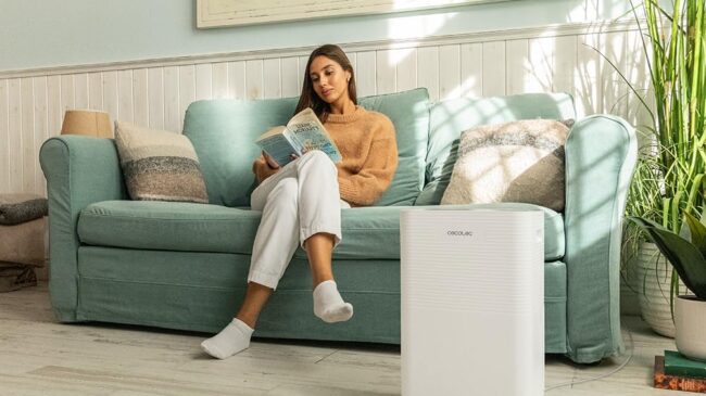 Di adiós a la humedad y al moho con el deshumidificador perfecto para tu hogar