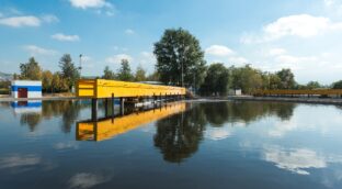 Cómo la acción colaborativa y la innovación pueden preservar el agua
