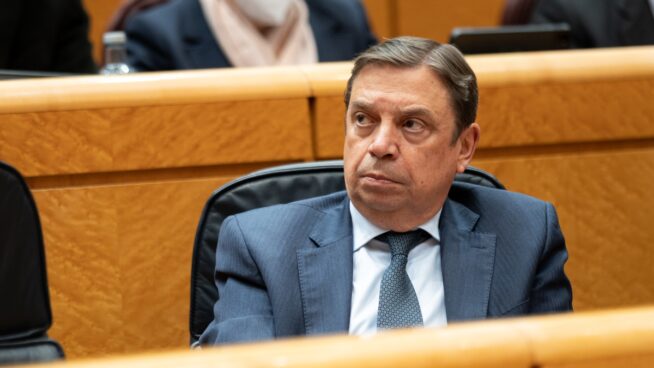 El Gobierno anuncia la candidatura del ministro Luis Planas para dirigir la FAO