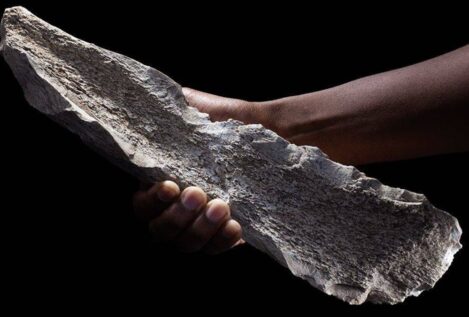 Hallan pruebas del uso de herramientas de hueso hace 1,5 millones de años