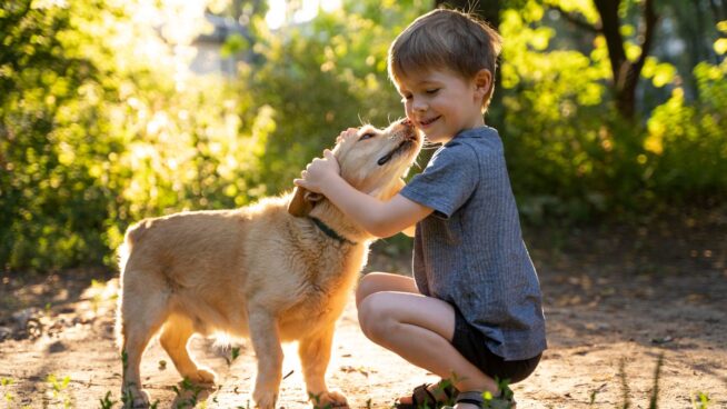 ¿Por qué hay más perros y menos bebés?
