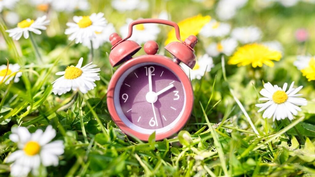 Cambio de hora: (Canva)