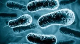 La bacteria que vive contigo podría causar infecciones graves, según un nuevo estudio