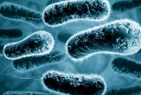 La bacteria que vive contigo podría causar infecciones graves, según un nuevo estudio