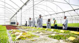 Almería registra un 'boom' de nacionalizaciones con los rumanos a la cabeza