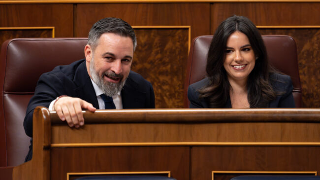 Vox lleva al Congreso a abuelas que se sienten víctimas de la ley de violencia de género