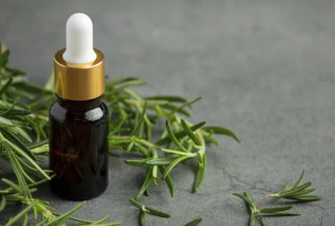 Los beneficios del romero para el cabello y la piel: cómo utilizarlo y para quién está indicado