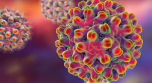 Un nuevo estudio descubre una terapia para tratar la hepatitis B