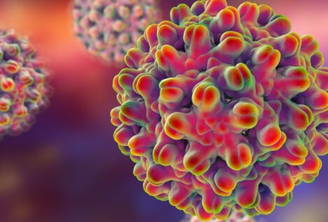 Un nuevo estudio descubre una terapia para tratar la hepatitis B