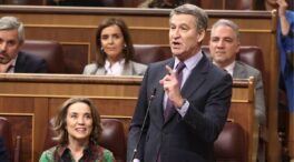 Feijóo critica que Sánchez quiera «despachar» el asunto de Ucrania «en 20 minutos»