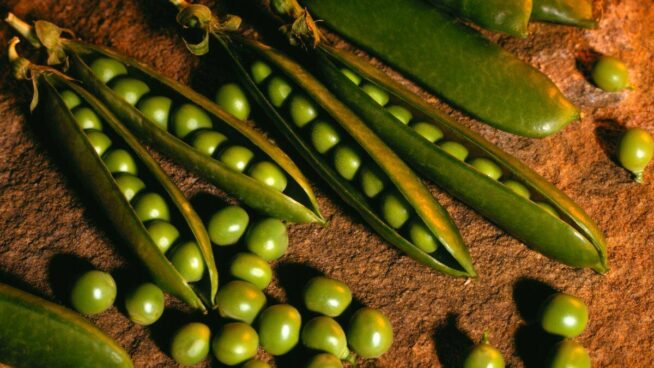 Cuándo se plantan los guisantes: guía y consejos para hacerlo bien