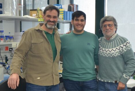Investigadores descubren un nuevo mecanismo celular como posible terapia neurótica