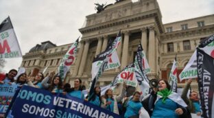 Los veterinarios, en pie de guerra contra la ley que les impide dispensar medicamentos