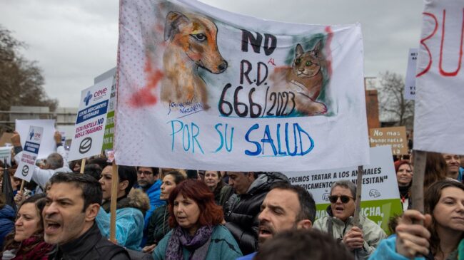 Los veterinarios se manifiestan contra la ley del Medicamento del Gobierno: Es «demoniaca»