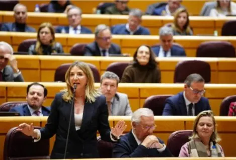 El PP afea al PSOE pactar con el «xenófobo de Waterloo» y ser una «autocracia chapucera»