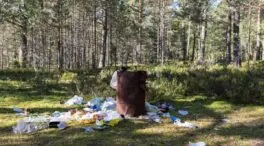 Voluntarios recogen 111 toneladas de residuos de basura de espacios naturales
