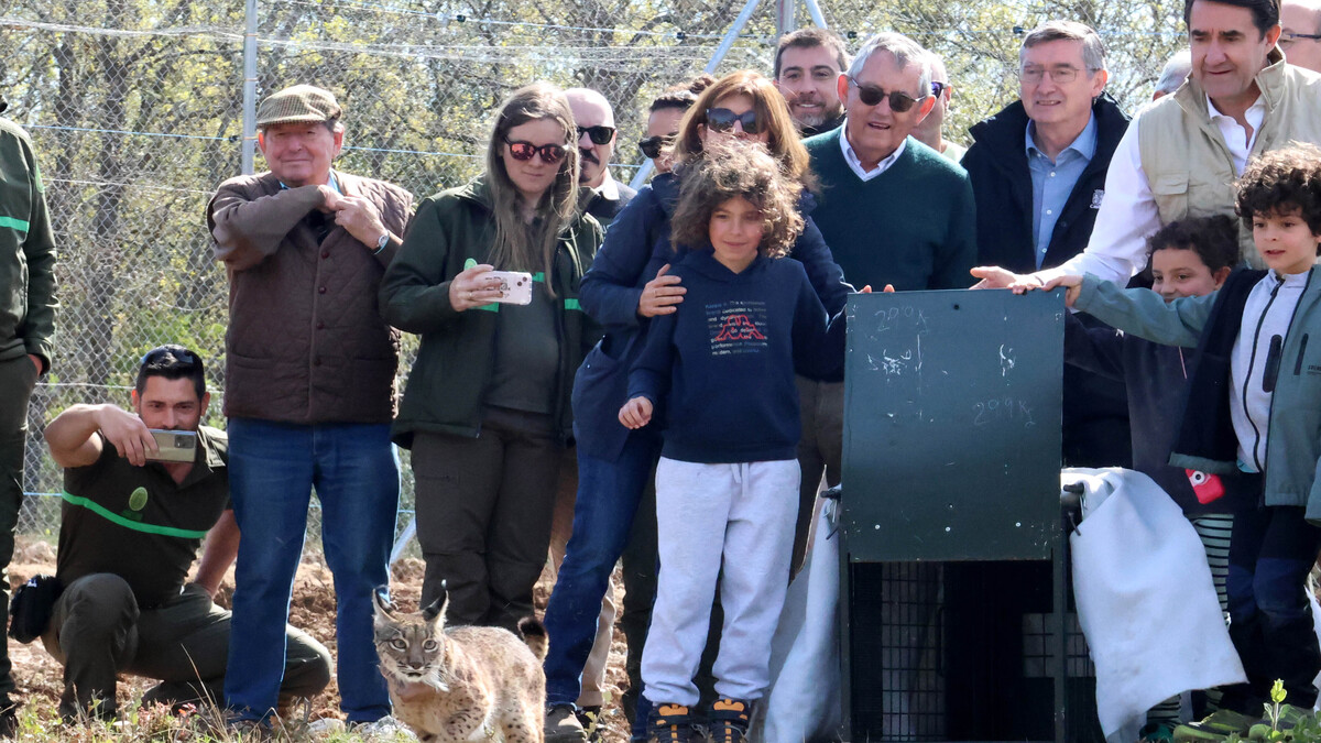 Liberados dos nuevos linces en el Cerrato Palentino
